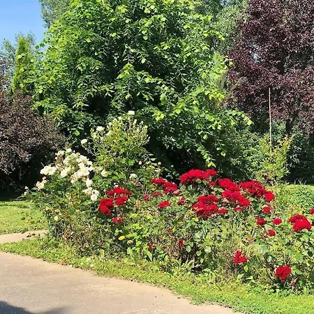 Vikendica Drina Hill Sa Bazenom Ferienhaus Loznica
