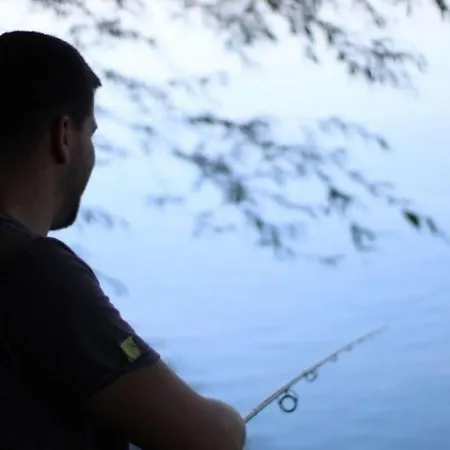 Vikendica Drina Hill Sa Bazenom * Loznica