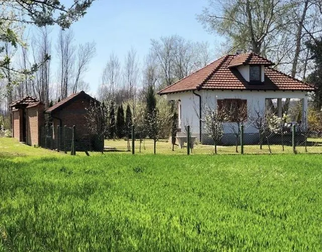 Vikendica Drina Hill Sa Bazenom Loznica