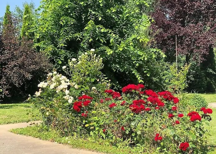 Vikendica Drina Hill Sa Bazenom Ferienhaus Loznica
