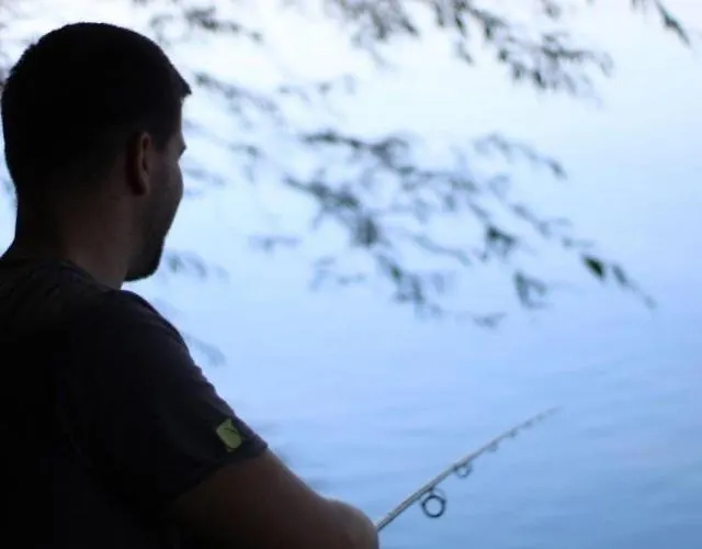 Vikendica Drina Hill Sa Bazenom * Loznica